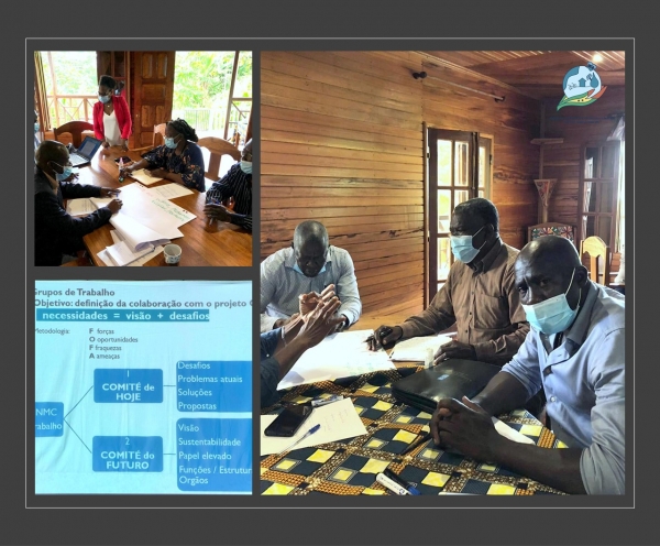 "O Comit&eacute; do Futuro" - workshop do Comit&eacute; Nacional de Mudan&ccedil;as Clim&aacute;ticas