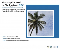 Workshop Nacional de divulga&ccedil;&atilde;o das NDC