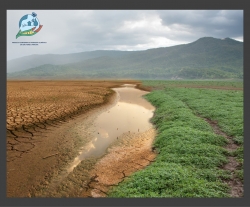 Ferramentas n&atilde;o faltam para o combate &agrave;s mudan&ccedil;as clim&aacute;ticas