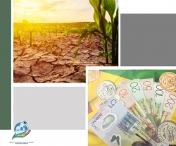 Falhas no financiamento podem comprometer as metas clim&aacute;ticas